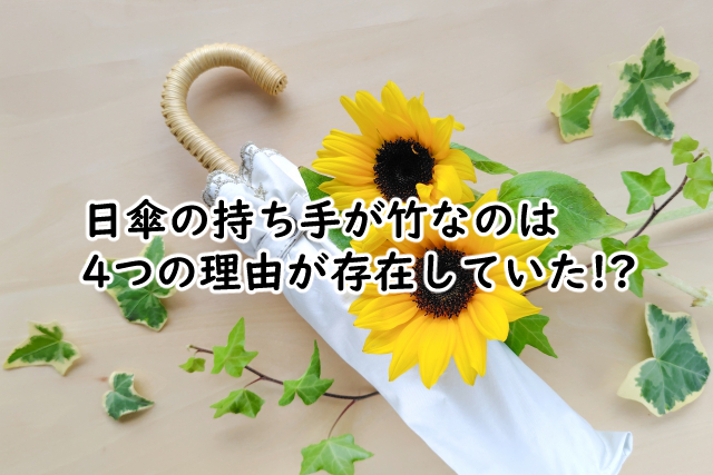 日傘の持ち手が竹なのはなぜ?バンブーな理由は?