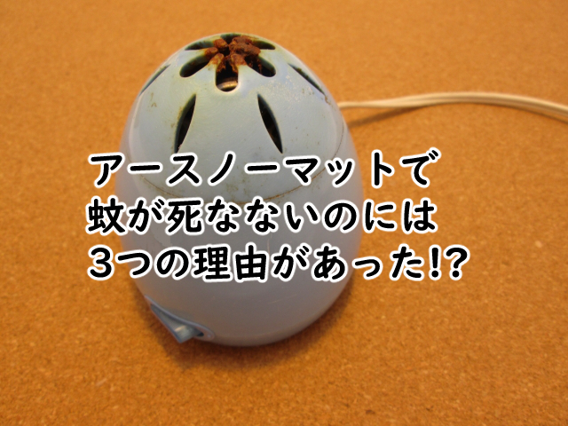 アースノーマットで蚊は死なないの?それ以外だと?