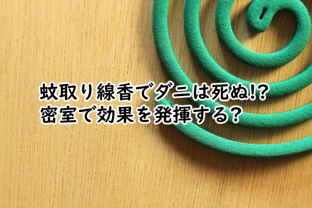蚊取り線香でダニは死にますか?密室だと?