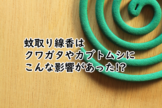 蚊取り線香はクワガタには?カブトムシ飼育での4つのポイント!