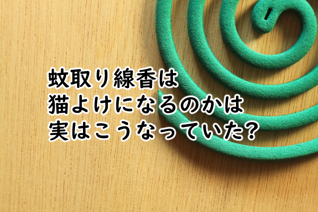 蚊取り線香は猫よけになるの?影響はどうなの?