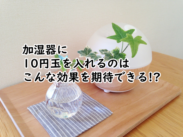 加湿器に10円玉は?銅たわしを入れる3つのポイントとは?
