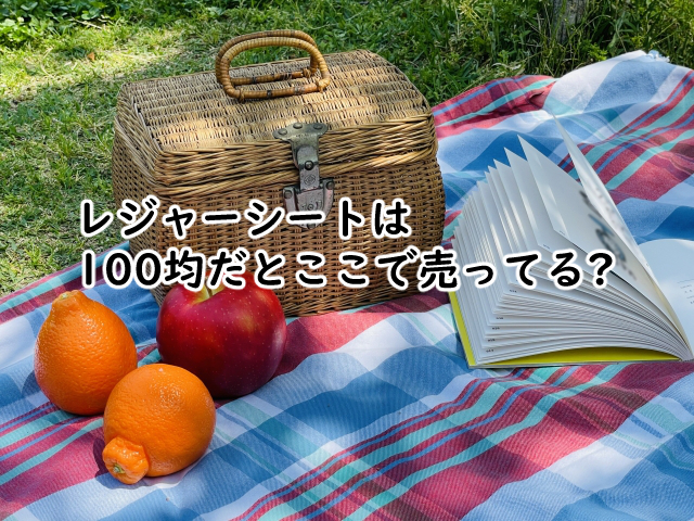 レジャーシートは100均だとどこ?ダイソーで5種類?