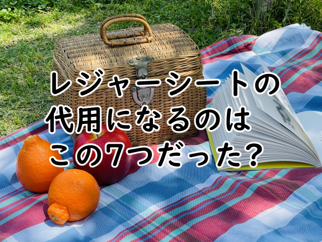 レジャーシートの代用は?代わりになるのはこの7つ?
