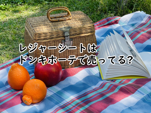 レジャーシートはドンキホーテだと?どこに置いてる?