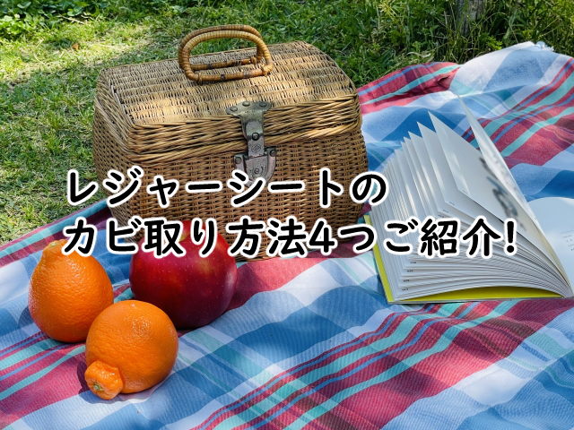 レジャーシートのカビ取りは?掃除のやり方はこの4つ