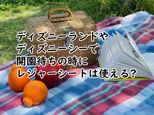 ディズニーで開園待ちにレジャーシートは?なしの場合だと?