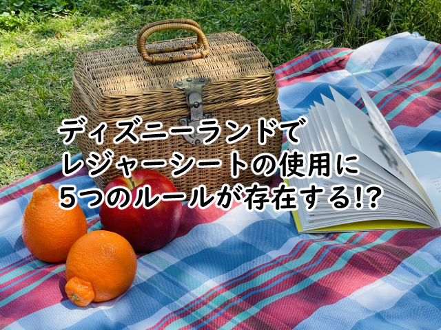 ディズニーでレジャーシートにはこんなルールが5つあった?