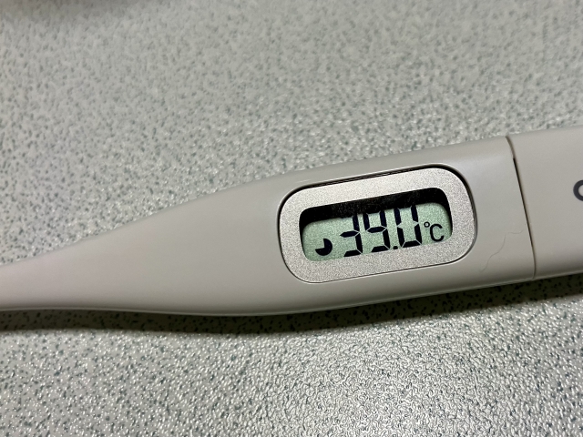 体温計 電池 どこで買う