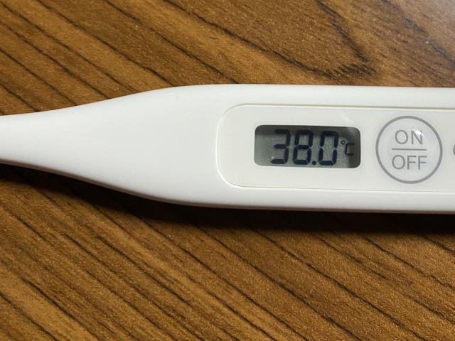 体温計 100均 セリア