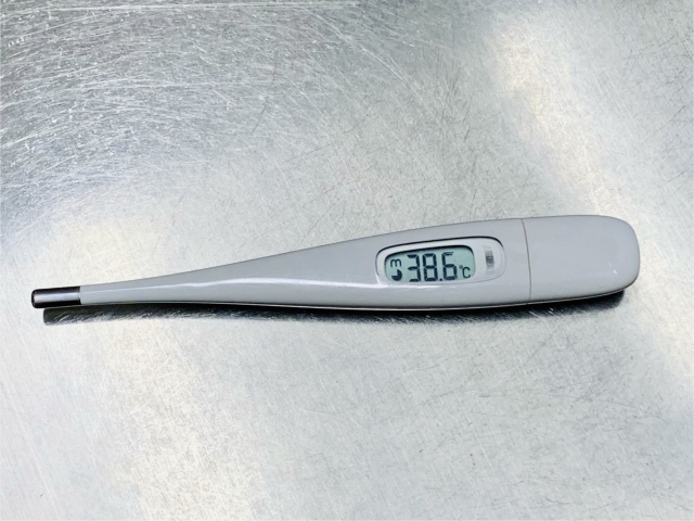 体温計 電池交換 ドライバー 100均